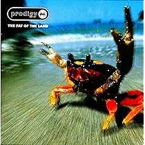 91mpLmTZ+5L._AC_UL210_SR210,